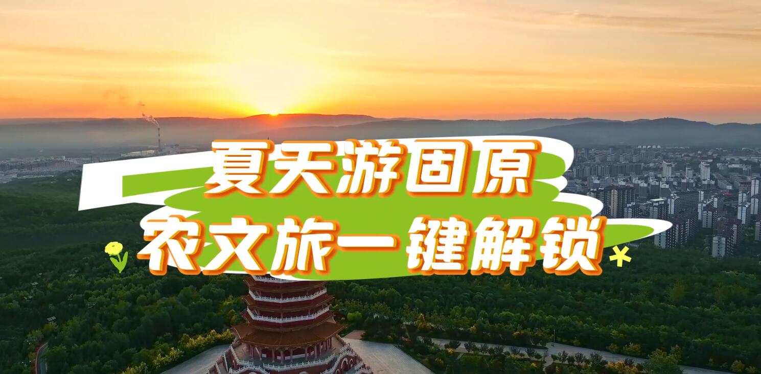 夏天游固原 農文旅一鍵解鎖